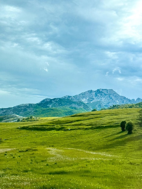 Vista de um dia de verão nas montanhas prados verdes encostas de montanhas e colinas