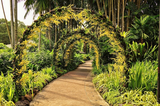Vista de um jardim formal