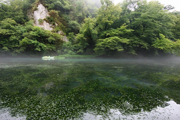 vista de um lindo lago no meio do nevoeiro com árvores refletidas na água