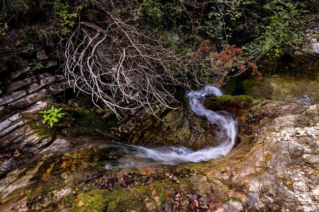 Foto vista de um riacho fluindo através de rochas