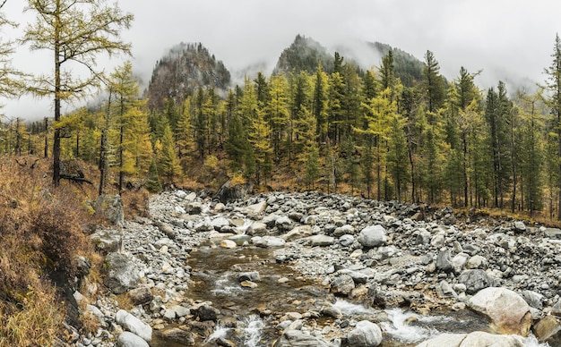 Vista de um rio de montanha rochosa na floresta de outono enevoada Cores da natureza