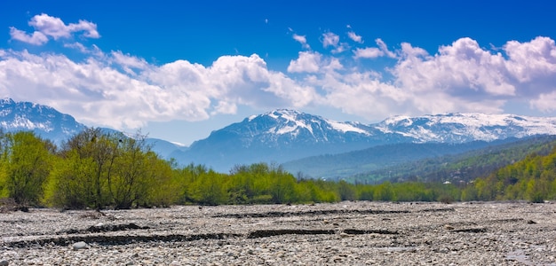 Vista de um rio de montanha, uma floresta e montanhas nevadas