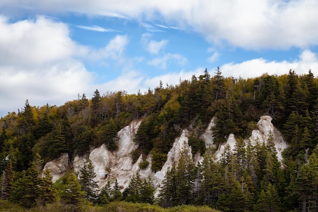 Vista de uma bela paisagem canadense durante um dia ensolarado vibrante em Fall Seaso