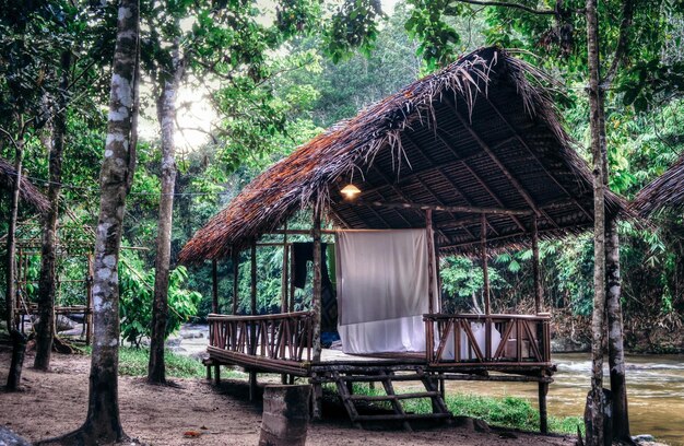 Foto vista de uma cabana na floresta