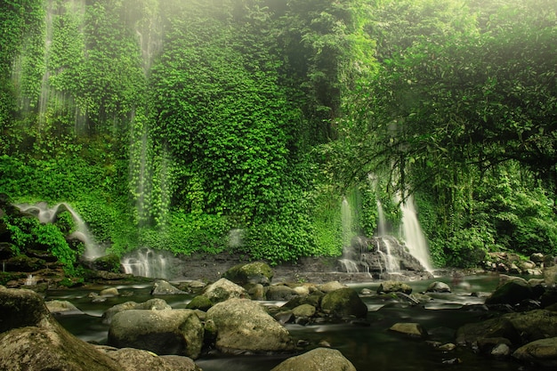 Vista de uma cachoeira em uma área de floresta protegida na Indonésia, em Bengkulu do Norte