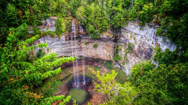 Foto vista de uma cachoeira na floresta