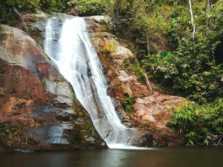 Foto vista de uma cachoeira na floresta