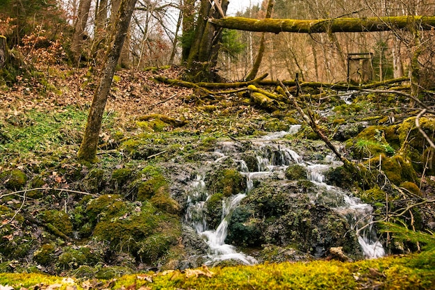 Vista de uma cachoeira na floresta