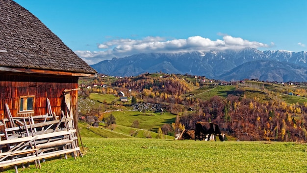 Vista de uma casa na paisagem