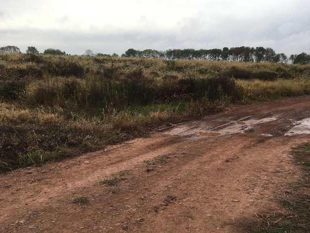 Vista de uma estrada de terra que passa pela paisagem