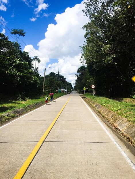 Foto vista de uma estrada que passa por um parque