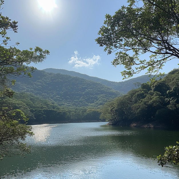 Foto vista de uma floresta e água em primeiro plano em um dia ensolarado no reservatório de shing mun