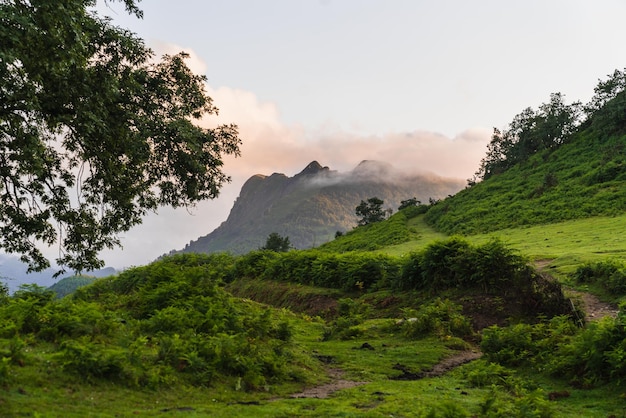 Vista de uma paisagem verde com montanhas e árvores sob um céu nublado no país basco espanha