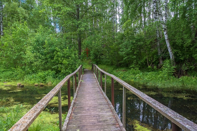 Vista de uma ponte pedonal na floresta