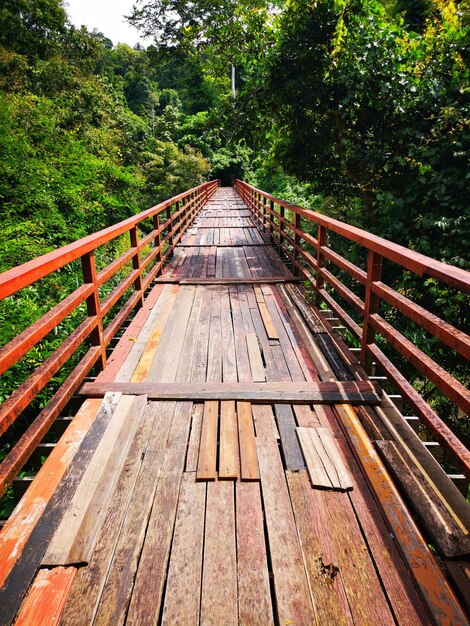 Foto vista de uma ponte pedonal na floresta