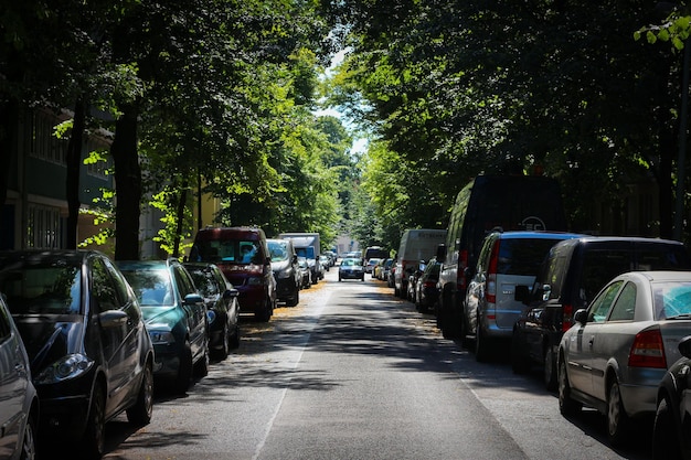 Vista de uma rua e árvores com carros estacionados
