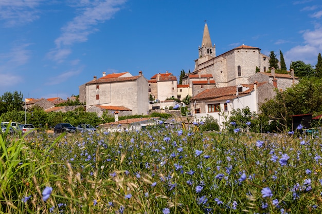 Vista de Valle, Bale em Istria. Croácia