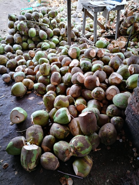 Foto vista de vegetais em alto ângulo