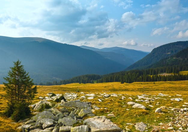 Vista de verão da estrada transalpina