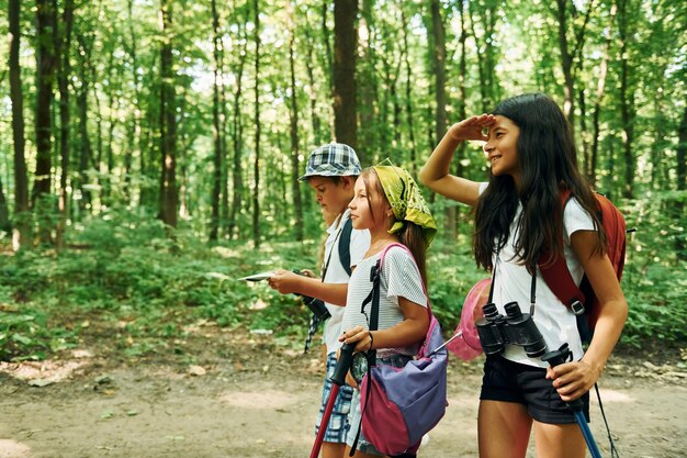 Vista delantera Niños paseando por el bosque con equipo de viaje