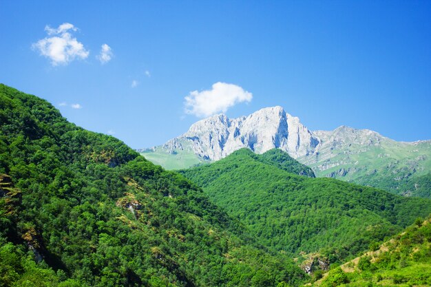 Vista del denso bosque y la montaña bajo el cielo azul. Monte Khustup