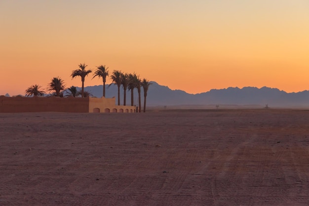 Vista del desierto árabe en Egipto al atardecer