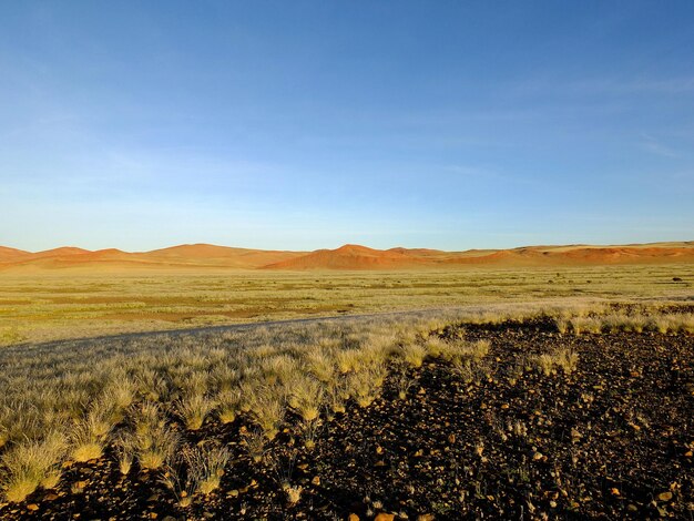 La vista del desierto de Namib Sossusvlei Namibia