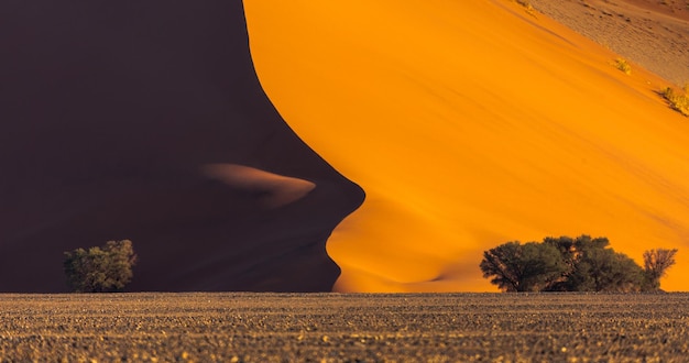 Foto vista del desierto