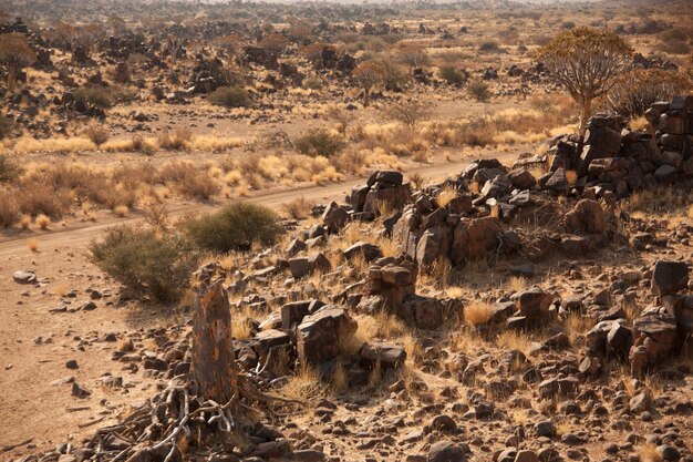 Vista de un desierto