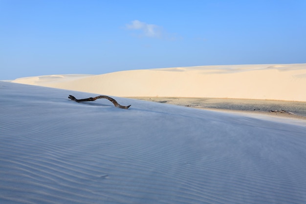 Vista de un desierto