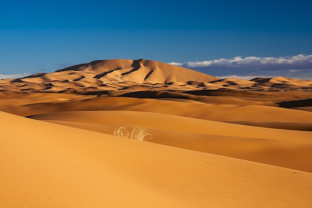 Vista deslumbrante das dunas de areia no deserto com o céu azul claro