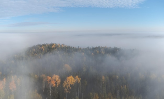 Vista deslumbrante de uma colina arborizada de outono saindo do nevoeiro