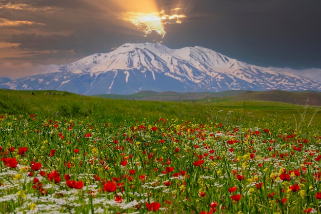 Vista deslumbrante do Monte Ararat Monte Ararat, a montanha mais alta da parte oriental