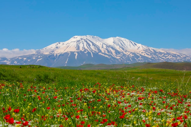 Vista deslumbrante do Monte Ararat Monte Ararat, a montanha mais alta da Turquia