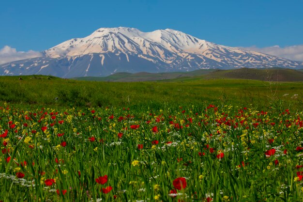 Vista deslumbrante do Monte Ararat Monte Ararat, a montanha mais alta da Turquia