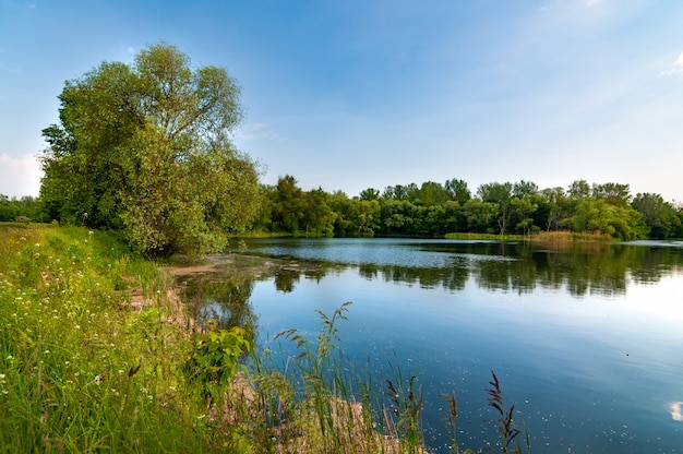 Foto vista deslumbrante sobre o lago perto da floresta