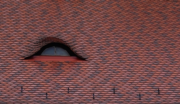 Vista detalhada de um telhado curvo com uma janela de uma casa
