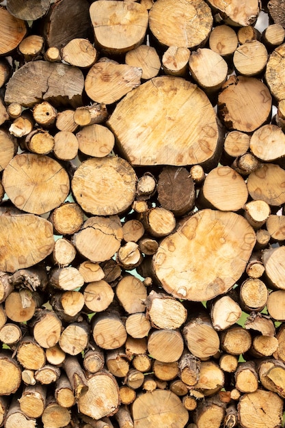 Vista detallada de una gran pila de troncos de árboles Primer plano de troncos de madera en la naturaleza Fondo de madera Fondo de registro