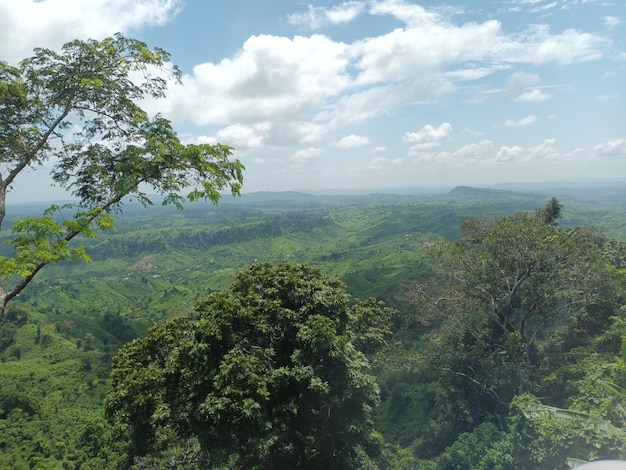 Vista del día en la pista de Hill