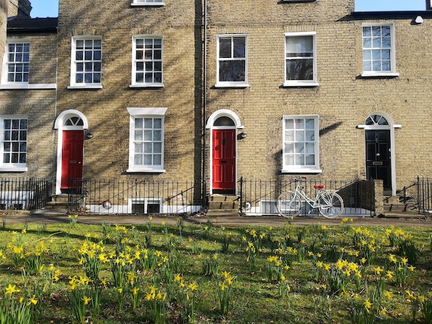 Vista de un día soleado de primavera de casas con narcisos en primer plano en Cambridge, Reino Unido