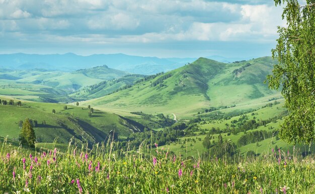 Vista de un día de verano en las montañas, prados en flor, laderas y colinas de las montañas.