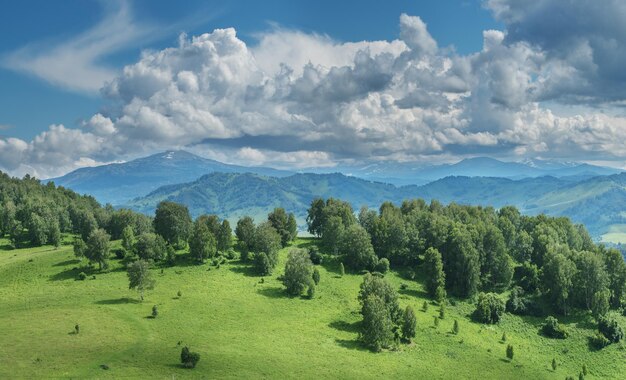 Vista de un día de verano en las montañas prados verdes laderas y colinas