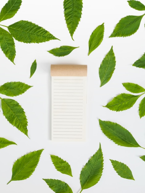 Vista directamente por encima de un cuaderno en blanco con una hoja verde sobre un fondo blanco