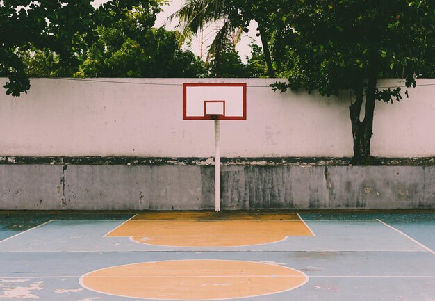 Vista do aro de basquete contra as árvores na cidade