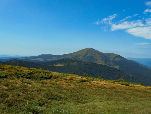 Vista do caminho dos Cárpatos até o topo do Goverla.