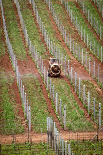 Foto vista do campo agrícola