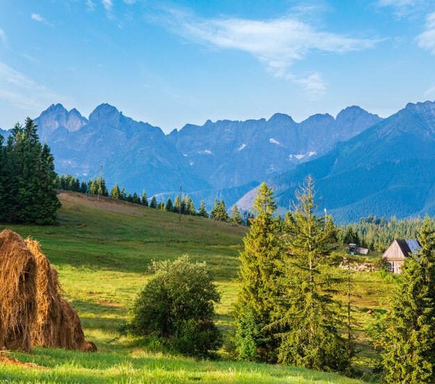 Vista do campo de montanha de verão