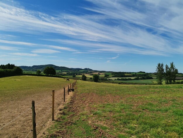 Vista do campo