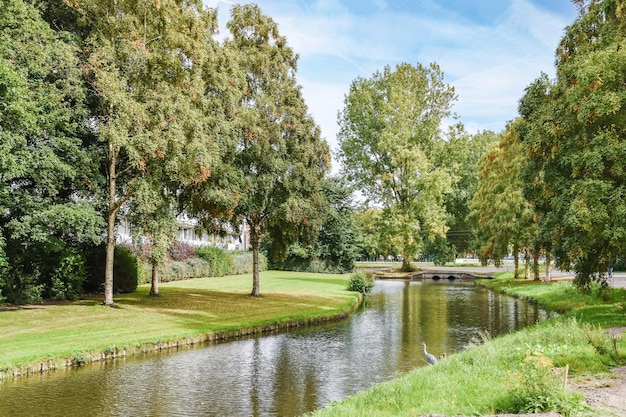 Vista do canal cercado de ambos os lados por um gramado fresco