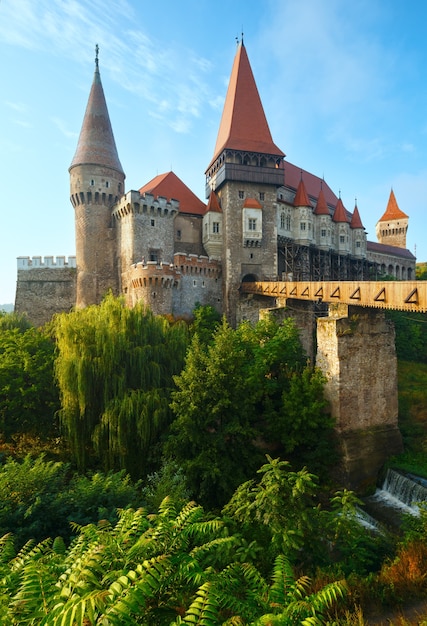 Foto vista do castelo de corvin no verão